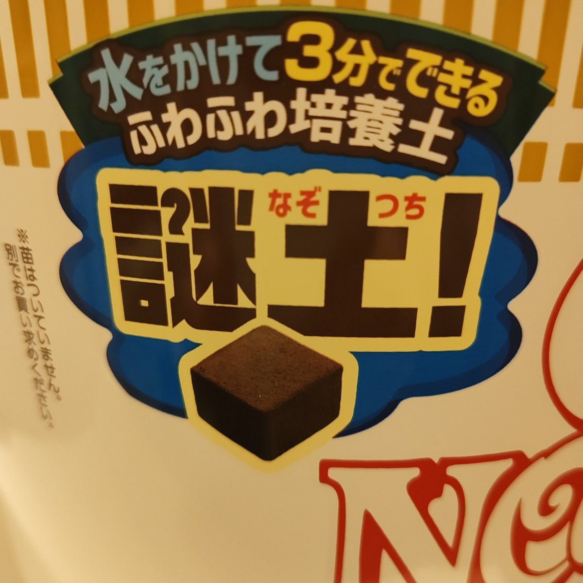 おさかなテレビジョン tweet media