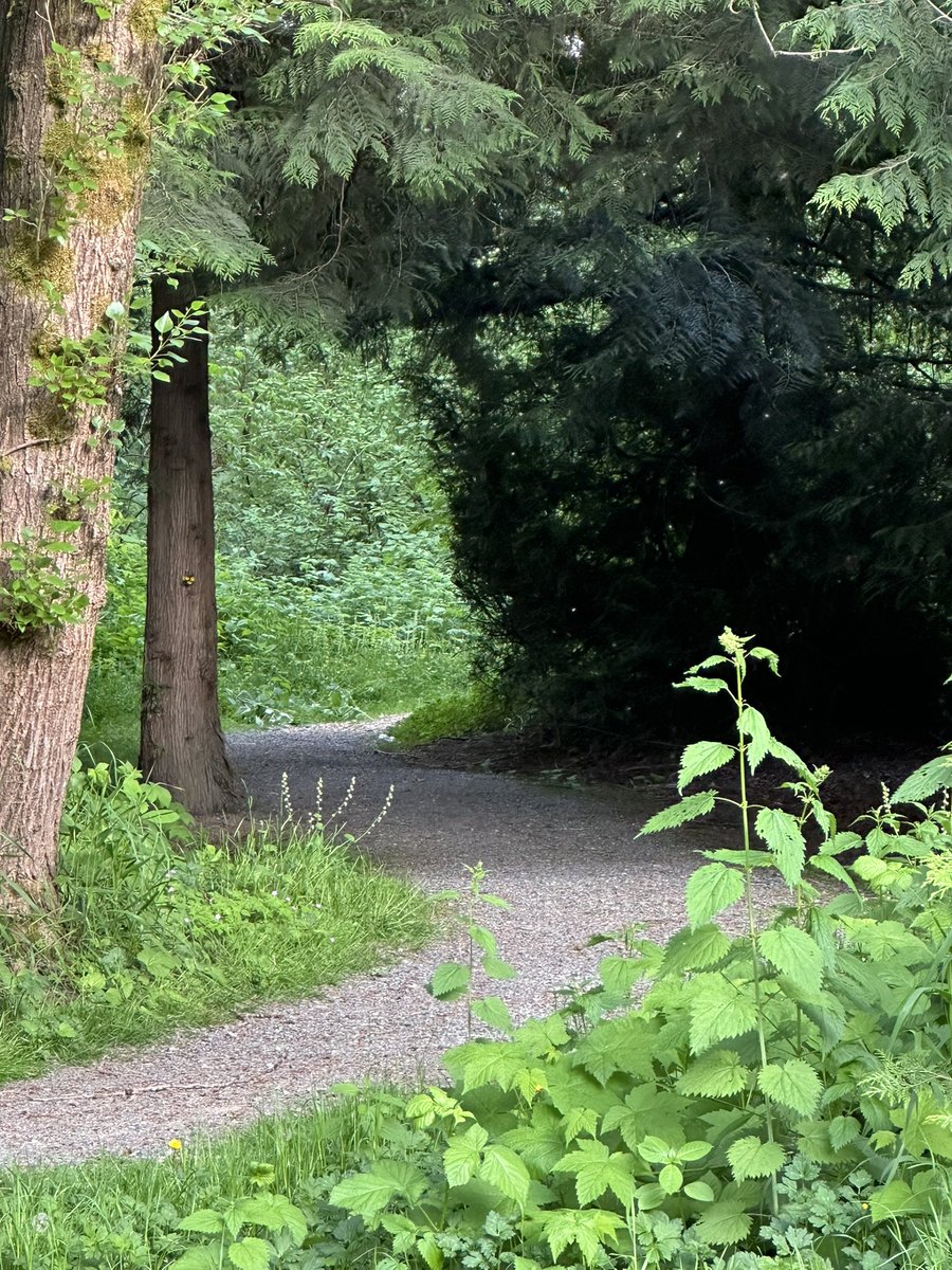 CharleneGroome's tweet photo. Your writing path is unique to you. Embrace the process. 
#5amwritersclub 
#writingcommunity 
#mondaymotivation https://t.co/lp5poWlyLu