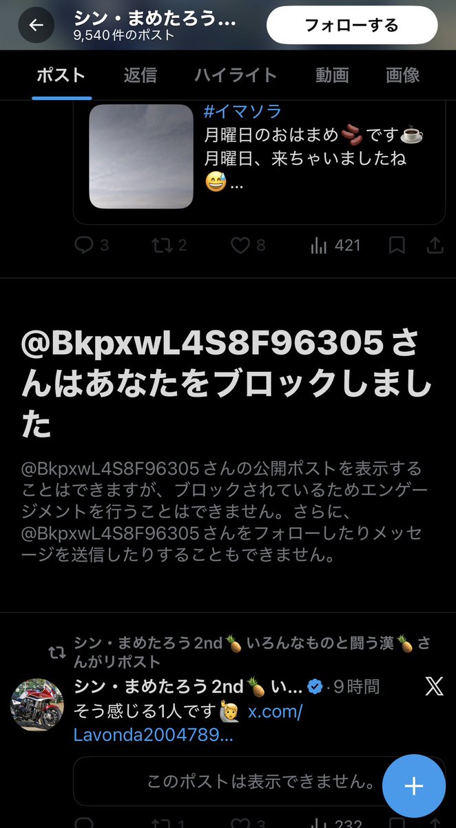 ヤシシ tweet media