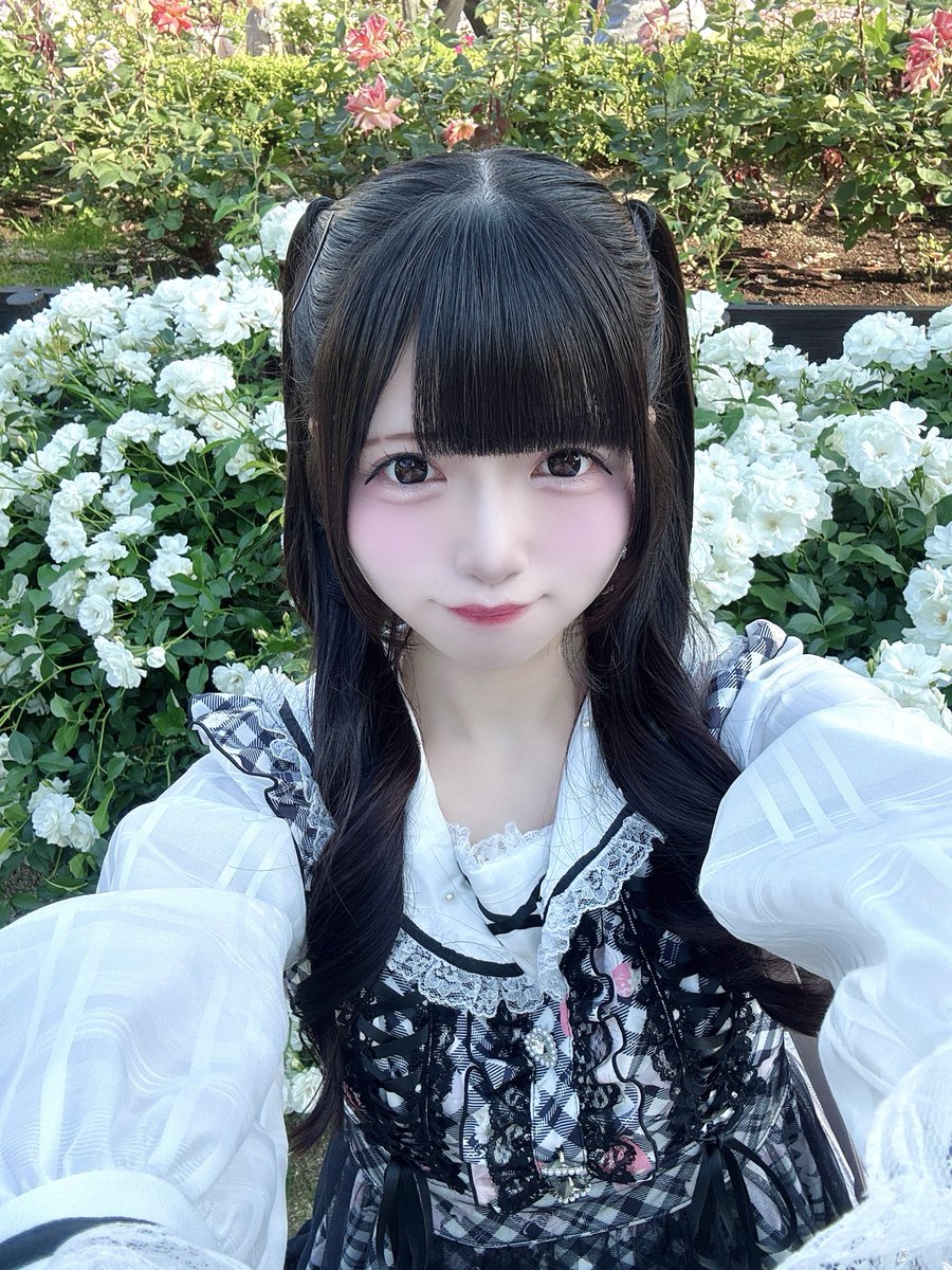 姫菜姫愛(MiDi ON! 新メンバー) tweet media