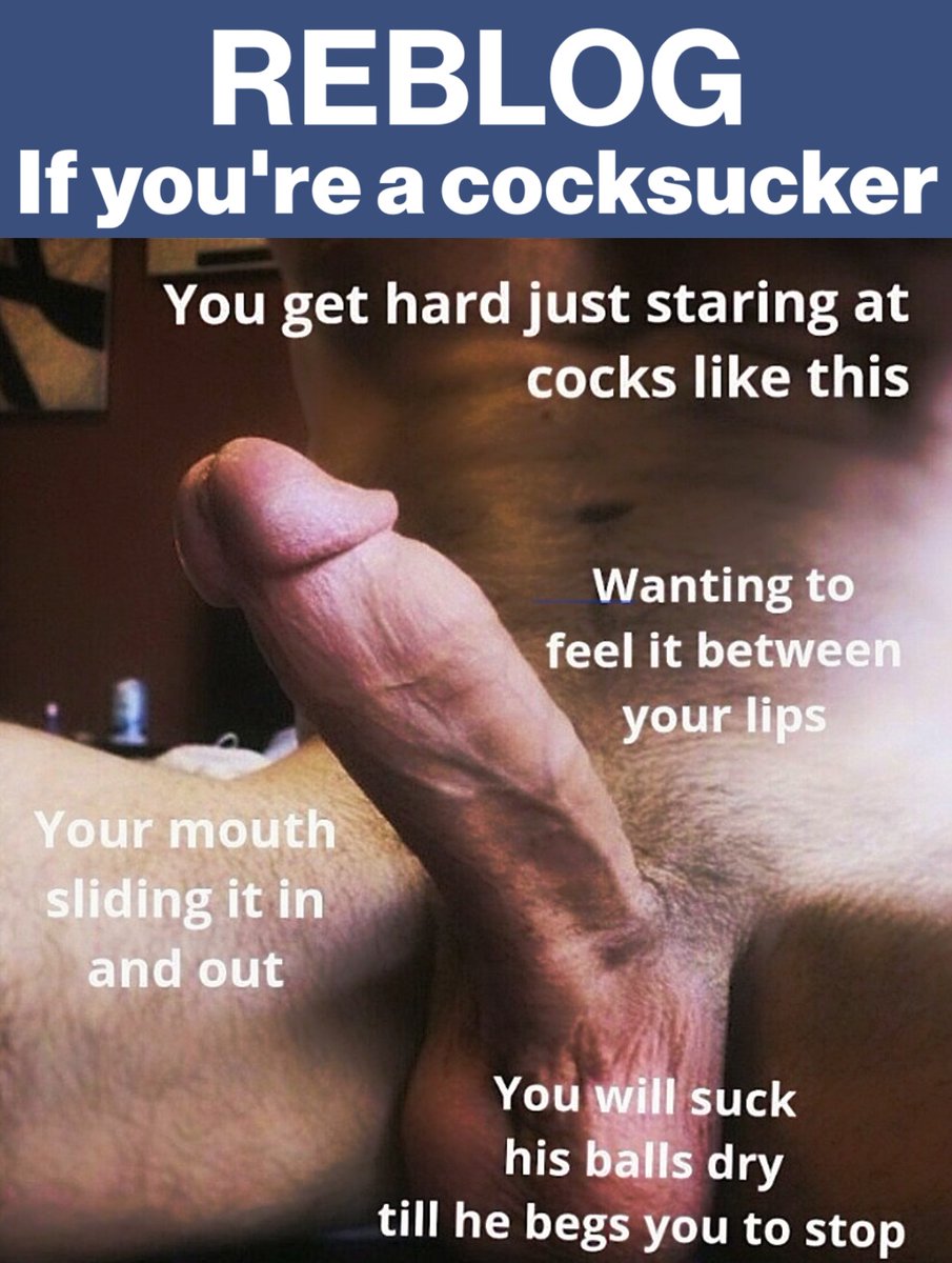 The Gay Guide🍆 tweet media