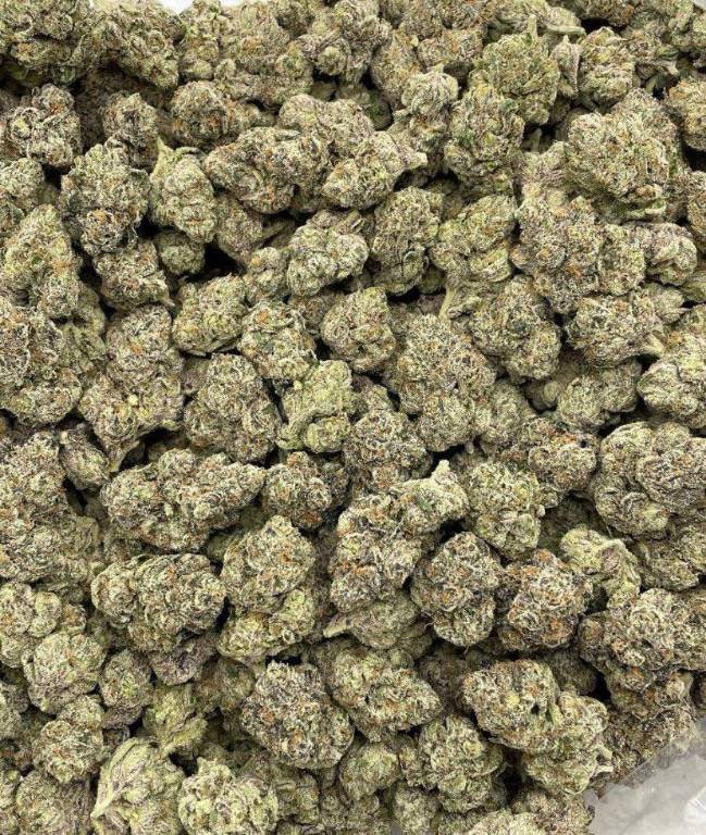 hannahabbas420's tweet photo. Unicorn candy 🍬
#CannabisCommunity #420friendly #420life #420day #Cannabis #CannabisCommunity #weedlife #weedlovers #Cannabisgrowers https://t.co/8WGomyS2Qw