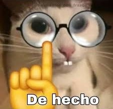 Juli_Riverr's tweet photo. @DefeTw pelotudo todo pelotudo https://t.co/x8JbW5n8pd