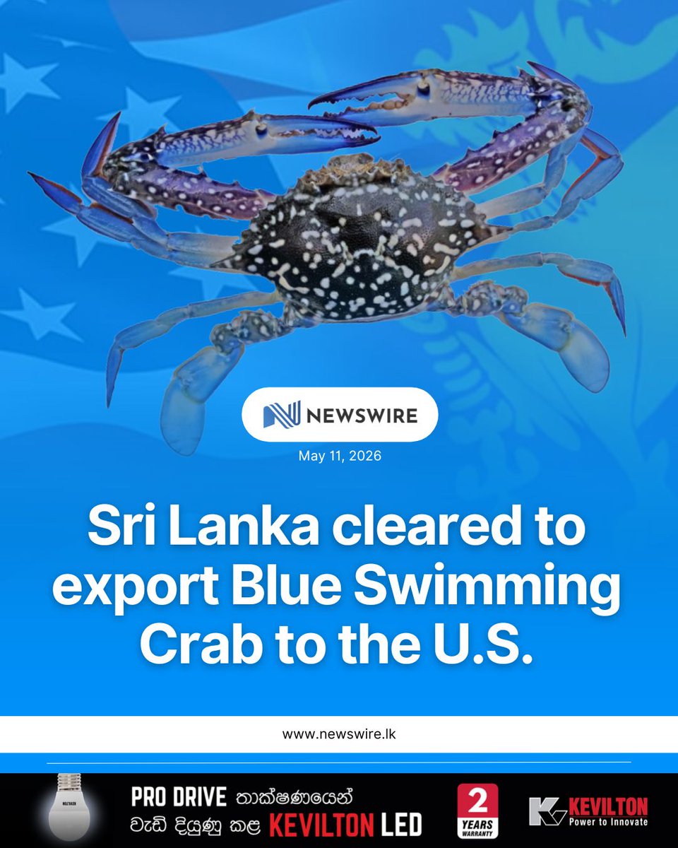 NewsWireLK's tweet photo. Sri Lanka has met the stringent conditions imposed under the U.S. Marine Mammal Protection Act (MMPA), removing barriers to the export of Blue Swimming Crab to the American market, the Ministry of Fisheries, Aquatic Resources and Ocean Resources announced.

The ministry said in a statement that the U.S. Department of Commerce’s National Oceanic and Atmospheric Administration (NOAA) confirmed that Sri Lanka’s crab harvesting practices and related regulations are “comparable in effectiveness” to American standards.

In November 2025, a U.S. court ruling had temporarily affected exports. 

However, after reviewing scientific data and evidence submitted by the Fisheries Department, NARA, and other relevant agencies, NOAA reconsidered its decision and granted approval.

Key points of the approval are as follows;

Export rights confirmed: Sri Lanka now holds the mandatory “Comparability Finding” certificate required for fishery exports to the U.S.
Validity period: Approval is valid until December 31, 2029, allowing uninterrupted exports of Blue Swimming Crab during this period.
Eco‑friendly fishing: Sri Lanka’s fishing methods, which avoid harm to dolphins, turtles, and other marine mammals, received international recognition. (Newswire)