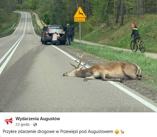 Krzysztof W. Panek tweet media