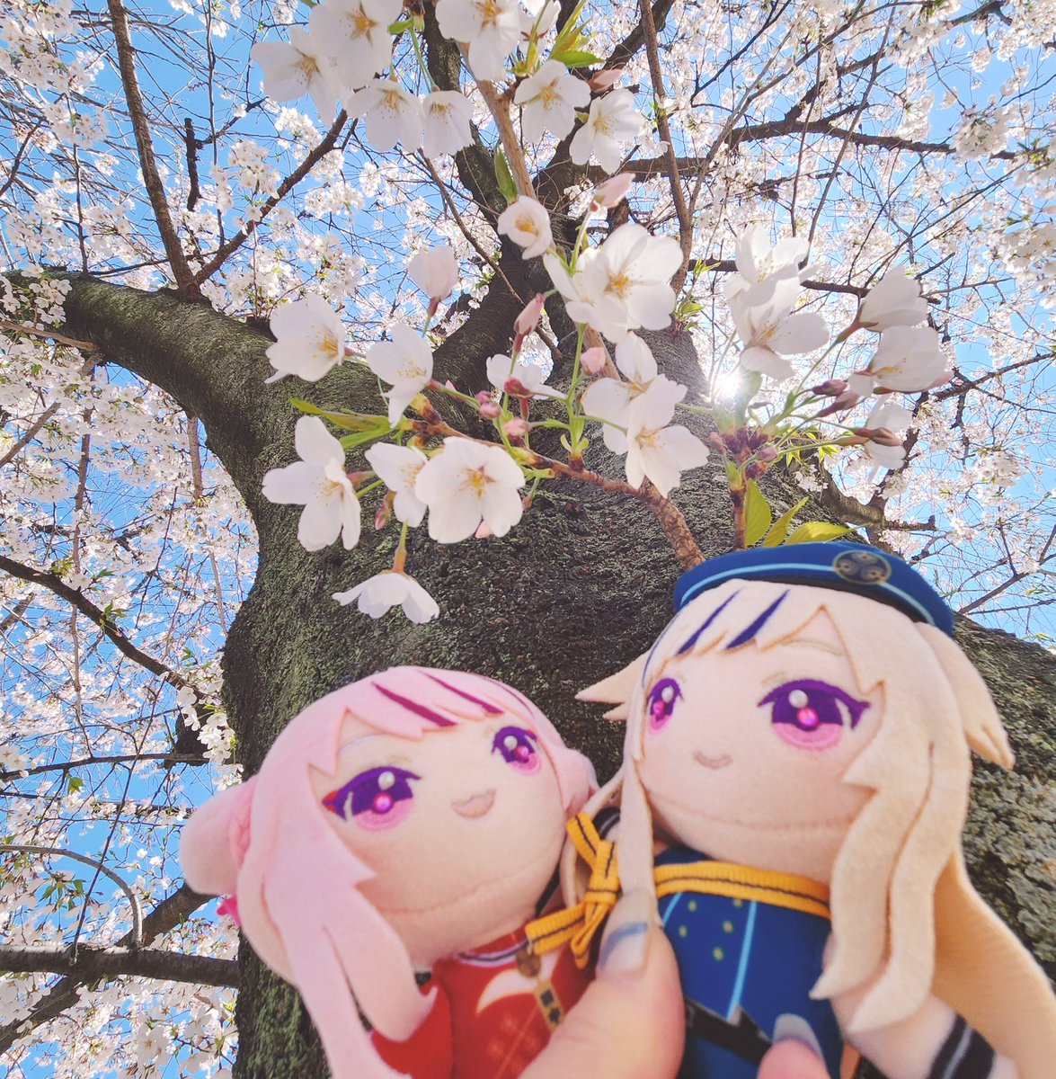 ムゥ太 tweet media