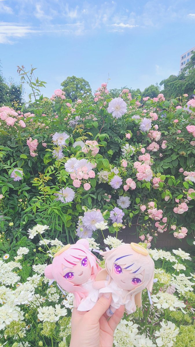 ムゥ太 tweet media
