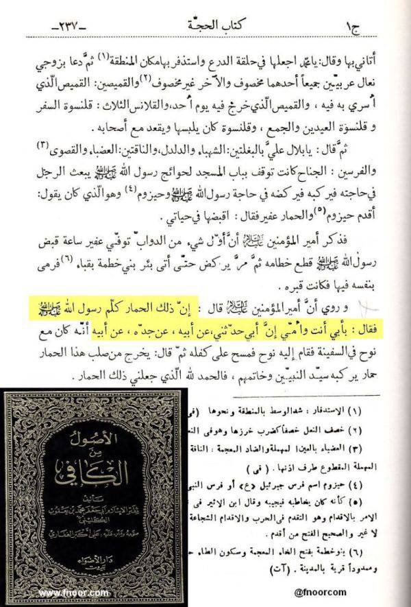 Mj 🇰🇼 tweet media