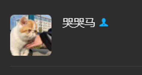 kiki tweet media