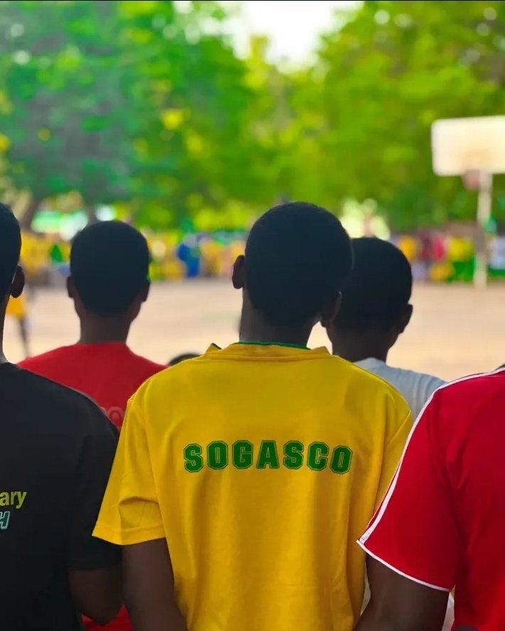 The Sogascan💚💛 tweet media