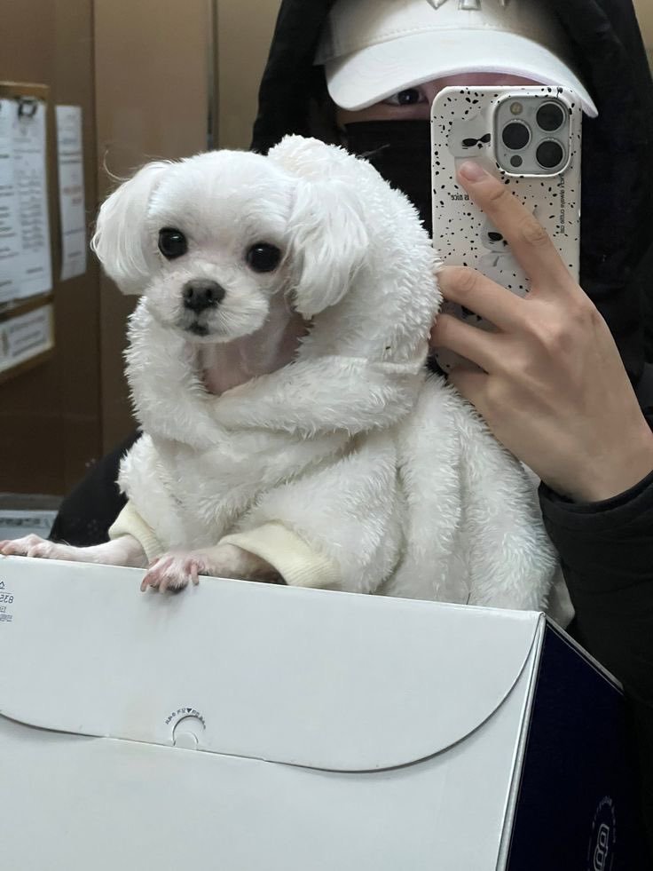 Hanuemjang's tweet photo. @Y00NJ1SVNG Me and my baby! https://t.co/DLPK0Y9PEE
