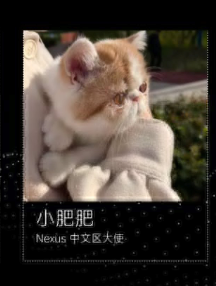 kiki tweet media