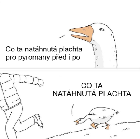 Jan Novák tweet media
