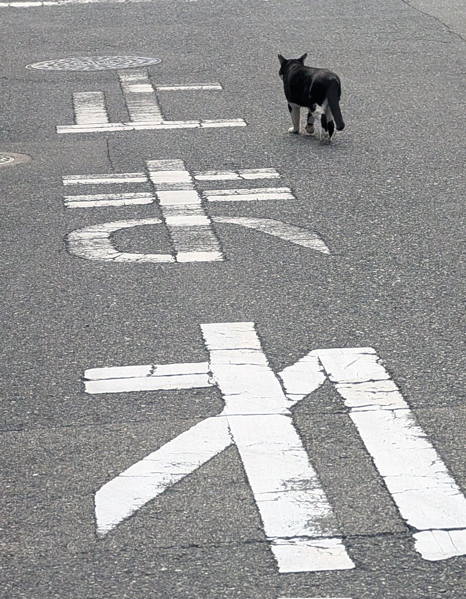 ヒガリン tweet media