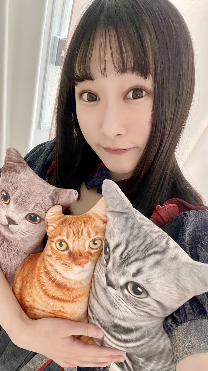まっちーは猫ちゃんぜーんぶ大好き😻欲張りにゃんだけどゆるしてにゃん