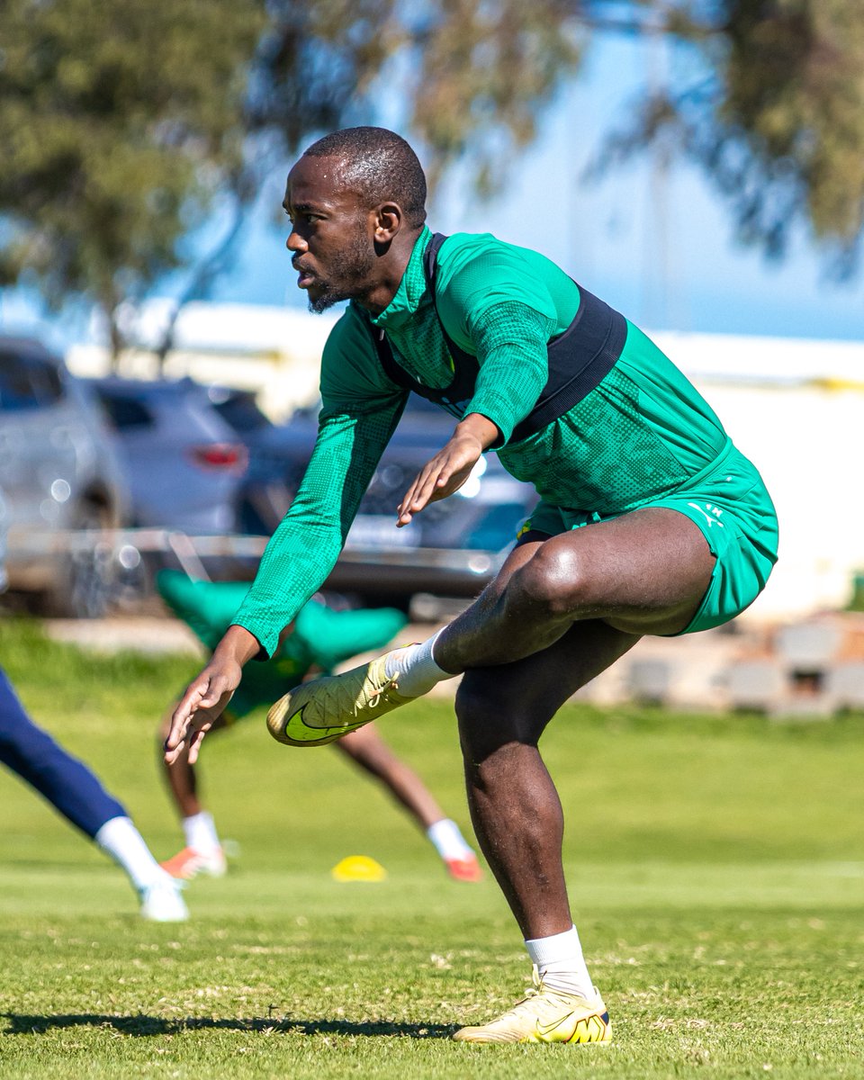 Mamelodi Sundowns FC tweet media
