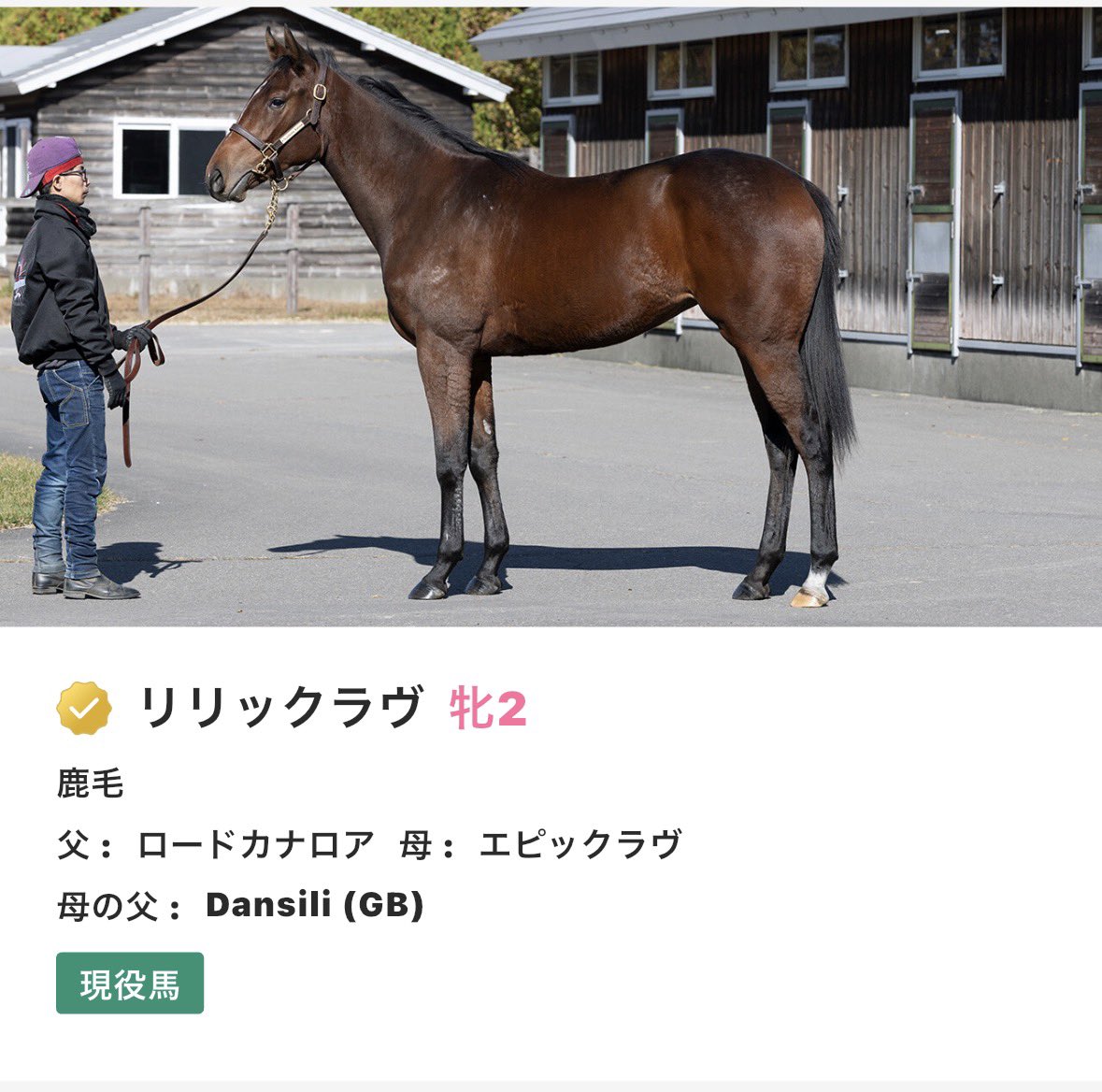 テラちん🐴 tweet media