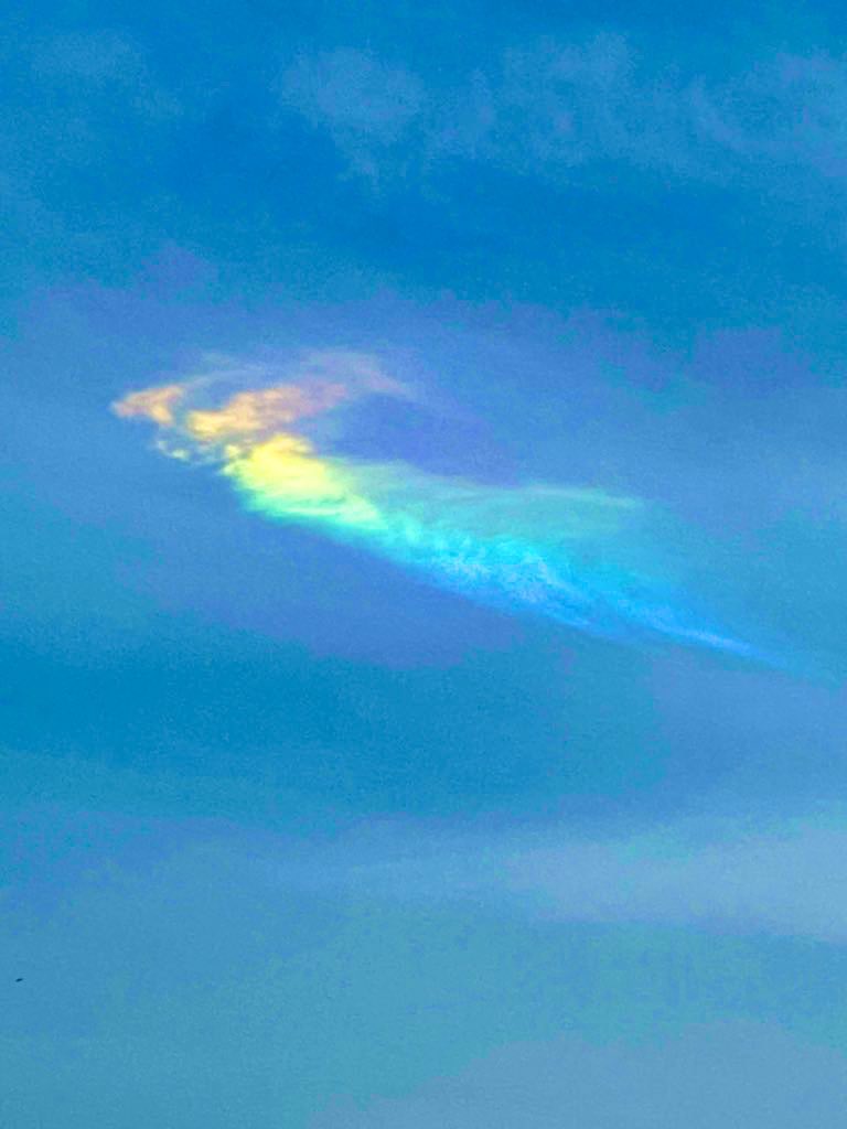 miki03110311's tweet photo. あなたが「飛び立つ自由」を

手に入れられますように。

幸あれ✨🌈✨ https://t.co/KqOrOOI7kZ