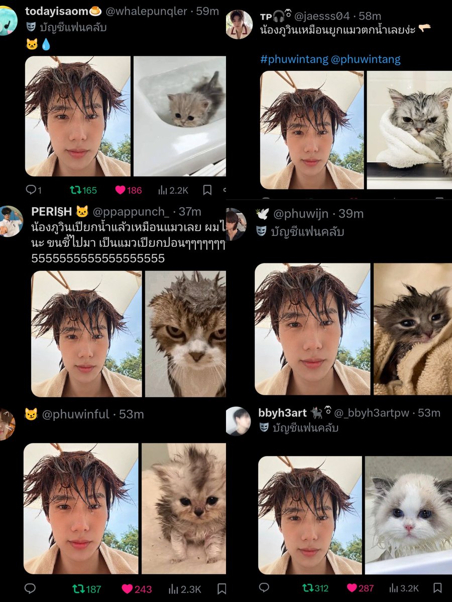 คือ ภูวินทร์ เป็นแมวจริงๆนะ 😼
คือ ภูวินทร์ เหมียวววววววว 555

#phuwintang  #ภูวินทร์เหมียว