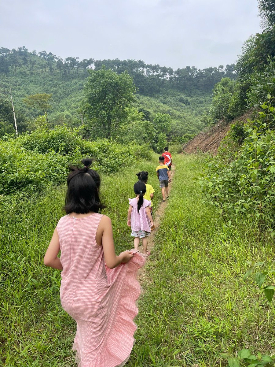 Đỗ Minh Thu | Rose tweet media
