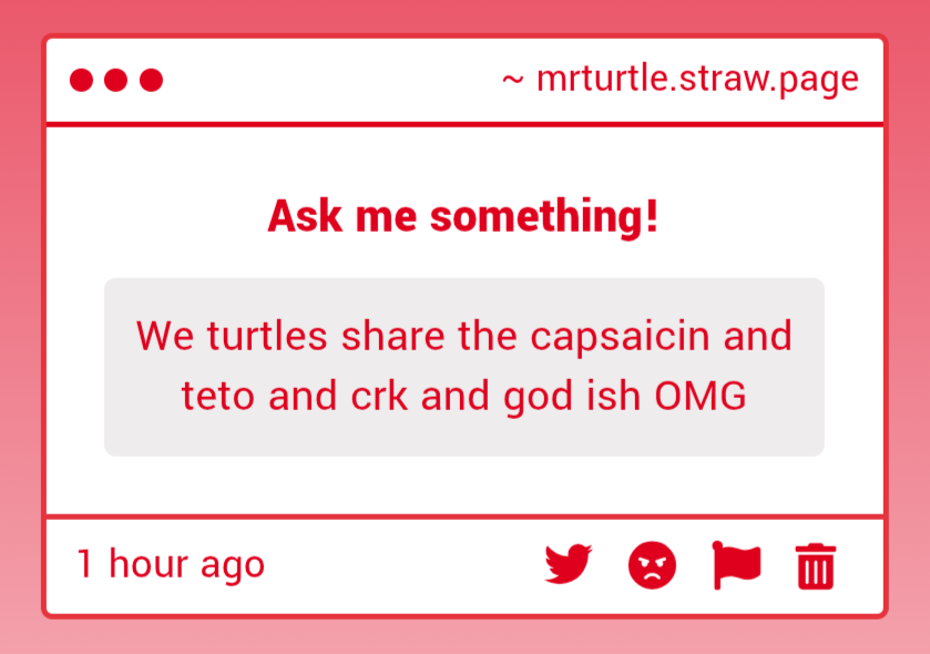 Mr. Turtle (CEO of Jolteon)🌸🍎 tweet media
