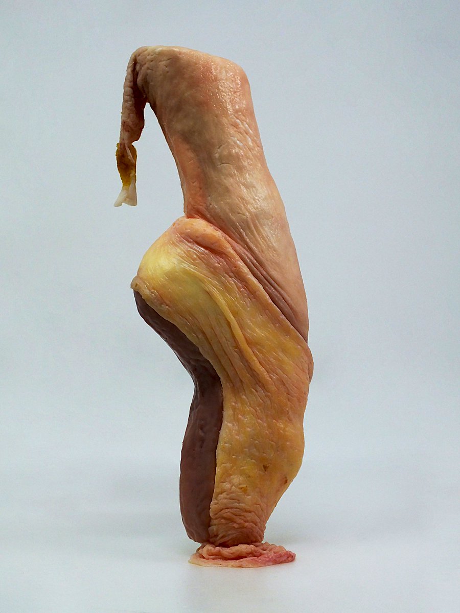 KugutsuNFT's tweet photo. BALLET🩰
(organic biological media) https://t.co/tXTg1kxi9I