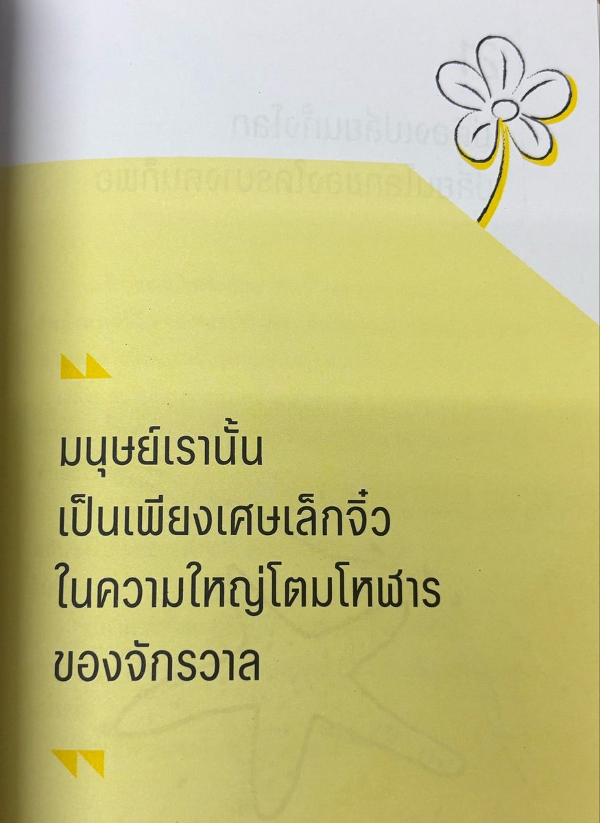 mysunflow🌻 tweet media
