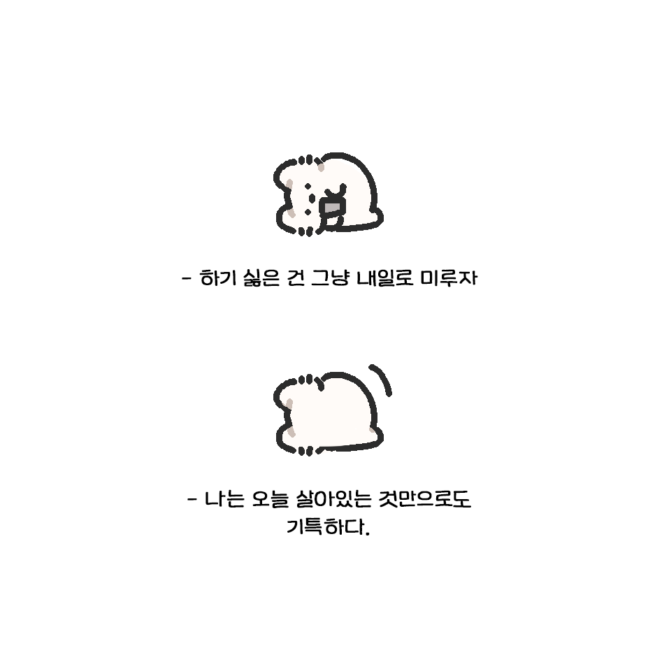 고냐 tweet media