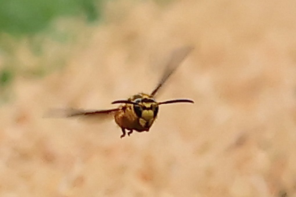 Split Second Photo tweet media