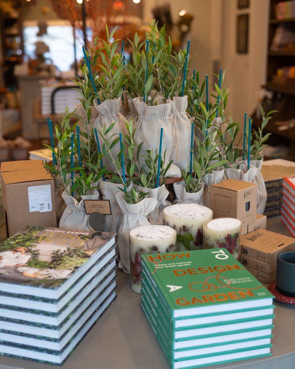 BeachHouseHMB's tweet photo. Main Street is worth an afternoon on its own. A short drive from the Beach House, you'll find some genuinely good independent shops — Jupiter &amp; Main for clothing and gifts, Olive for the garden, and Coastside Books. And that's just the beginning — there's plenty more to explore. https://t.co/adLZy8m5hd