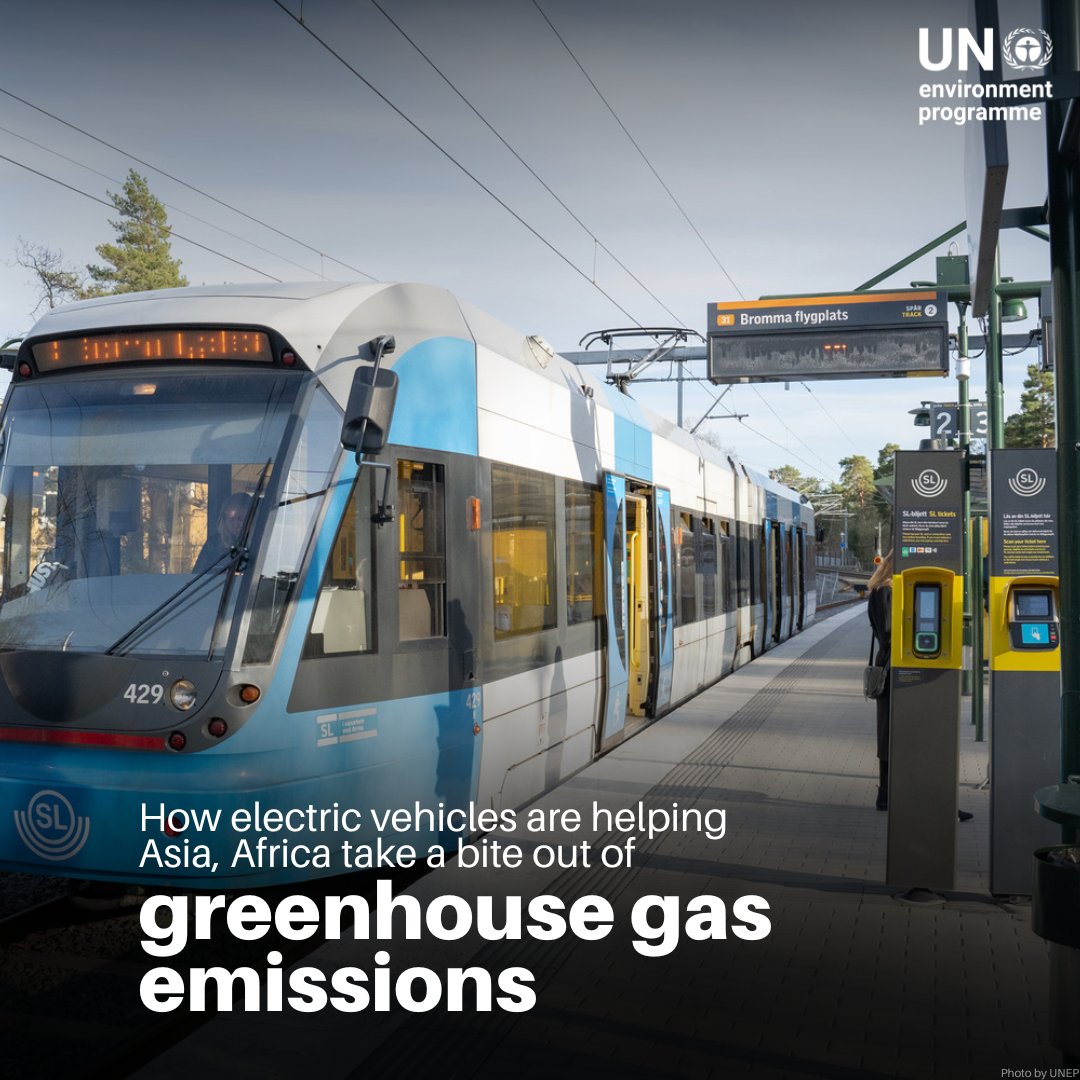 UN Environment Programme tweet media