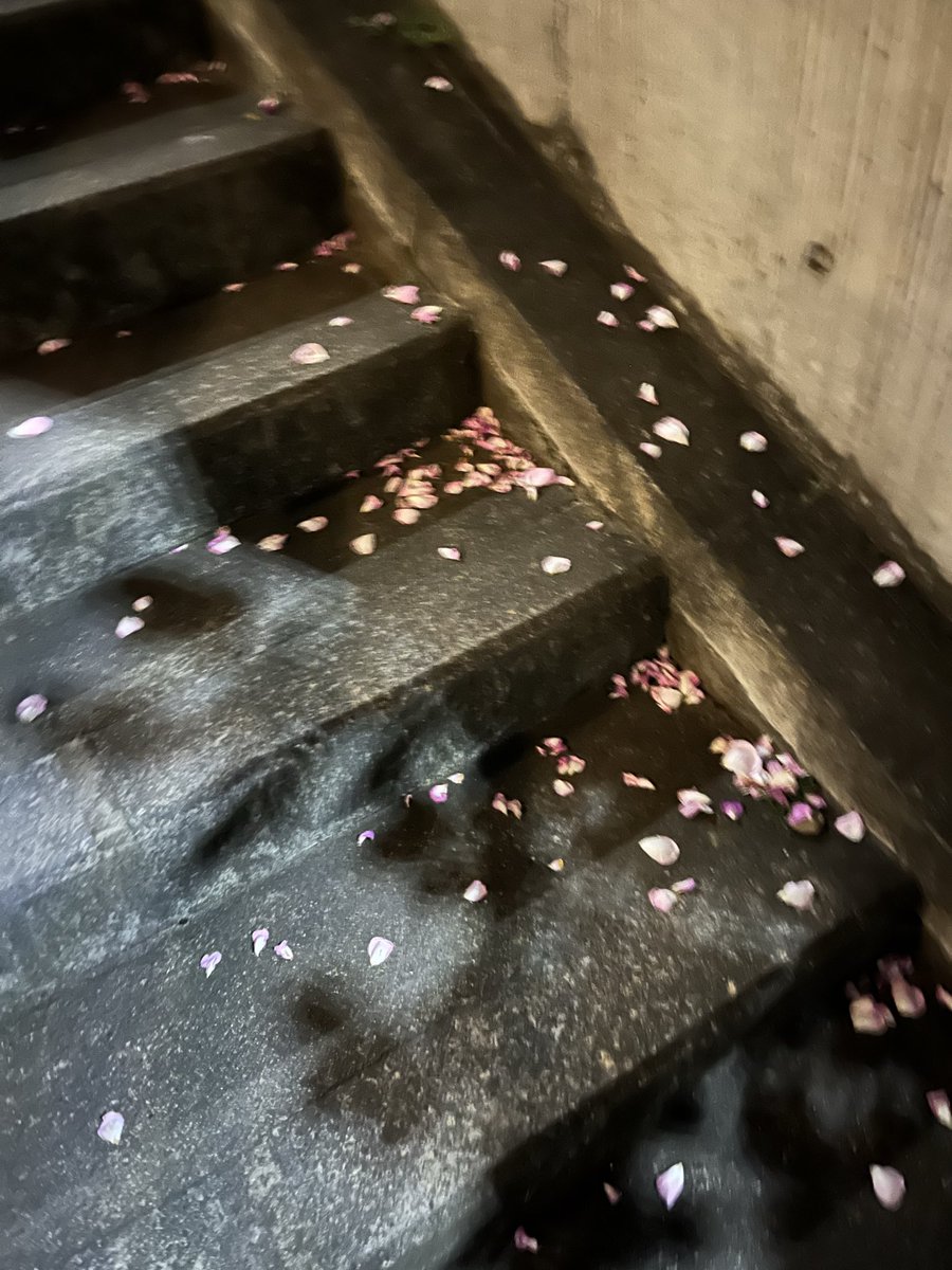 gitanes2732's tweet photo. バラの花弁
階段 https://t.co/IyNOlw2RmH