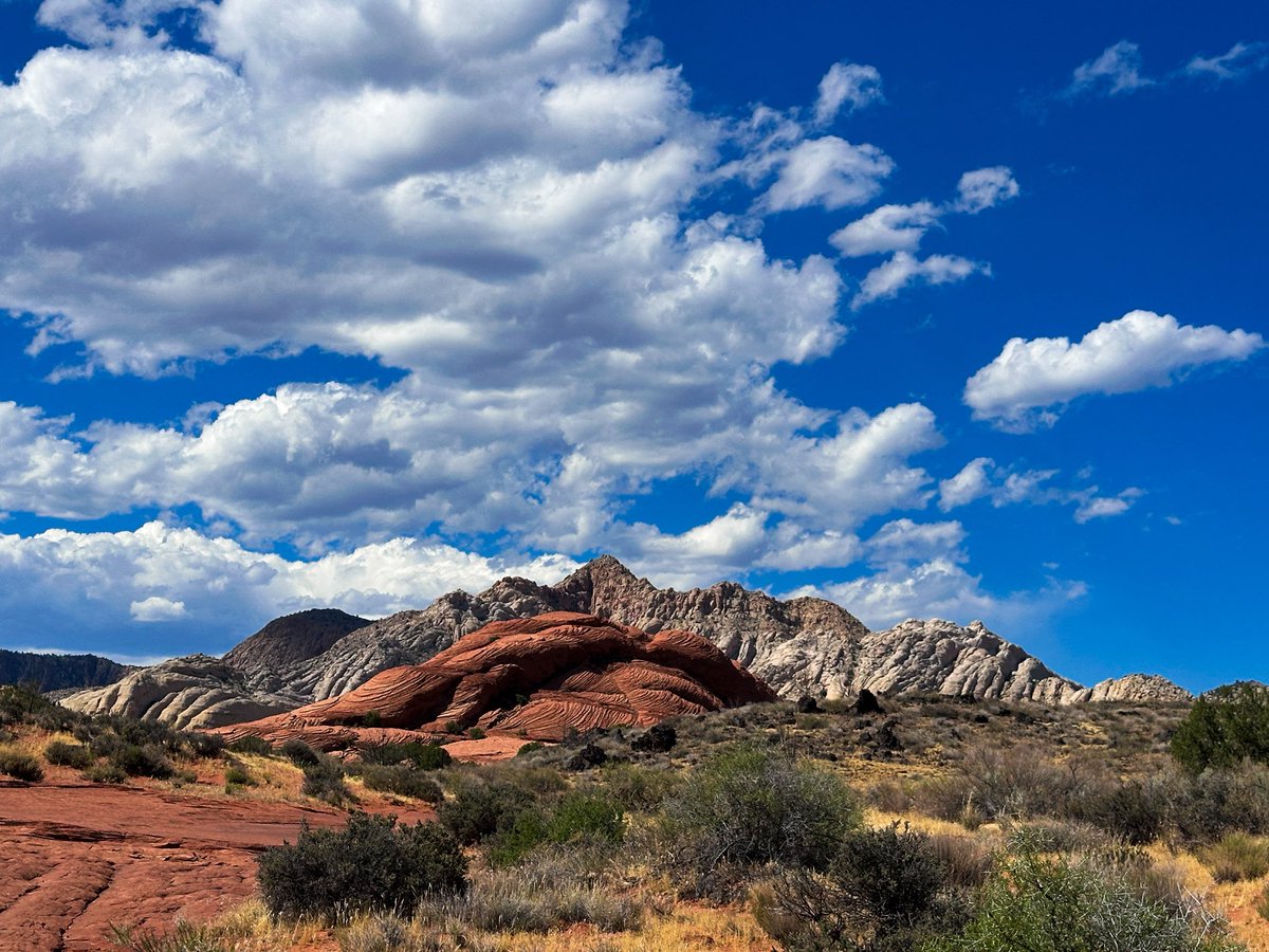 prairieguy2016's tweet photo. Monday morning… white cliffs, sagebrush, petrified sand dunes, red rocks, &amp; big, blue &amp; white skies. Wandering SW Utah &amp; playing Desert Solitaire… #wandering #utah #desert #desertsolitaire https://t.co/h63AF35iep