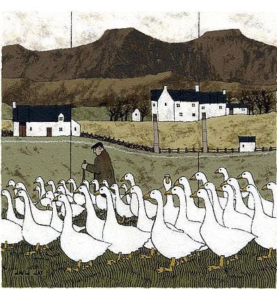 helen warlow tweet media