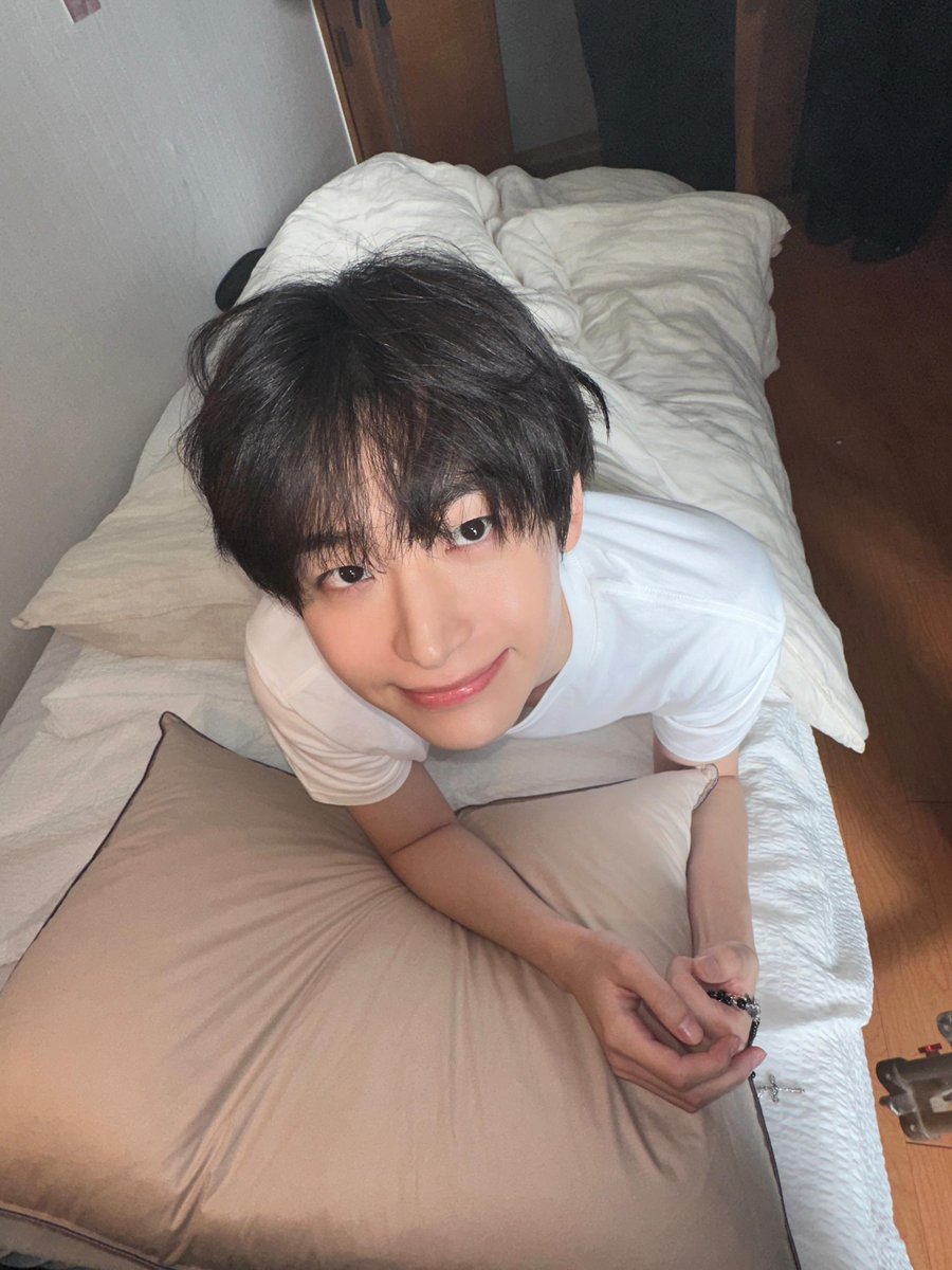 또치 tweet media