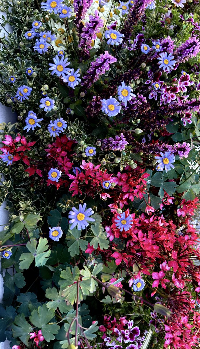 🐹 (햄) tweet media