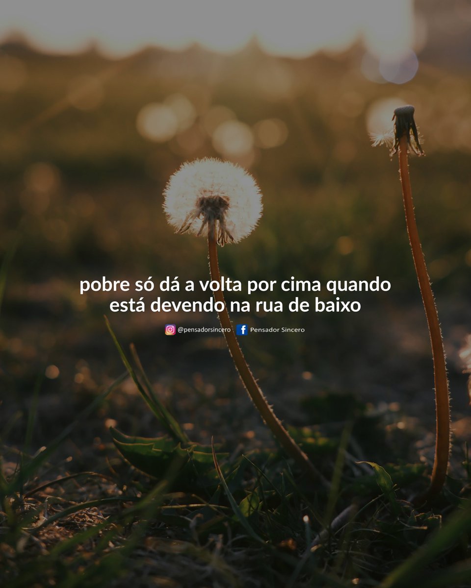 Pensador Sincero tweet media