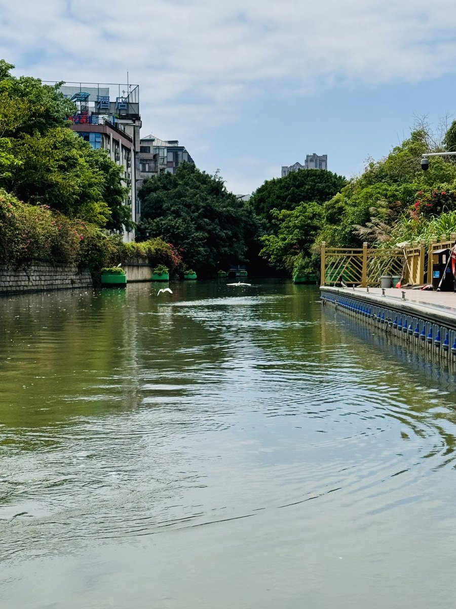 本日は内河を船で巡ります。
#摄影 #旅行 #日常 #生活 #风景 #随手拍
#travel #life #Scenery #daily #Photography 
#旅行する #風景 #写真を撮る #しゃしん