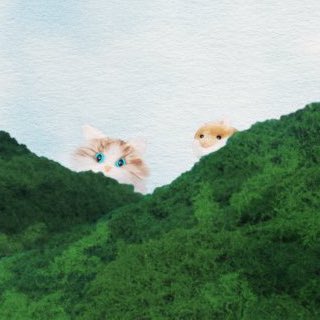 gomss1k's tweet photo. 냥이랑 햄 같이 잇는 거 왜 이루케 귀엽냐 ㅜ.ㅜ https://t.co/Omw5HemR9M