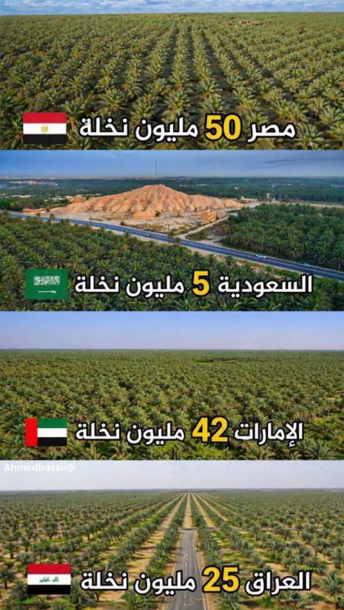 kamel hendawyy tweet media