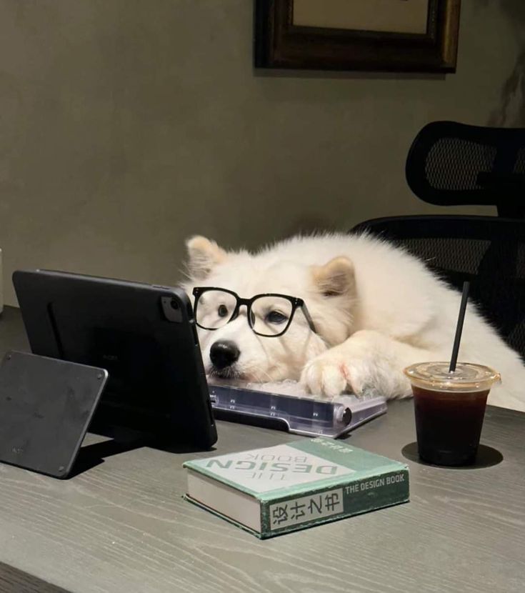 금목🥟 tweet media