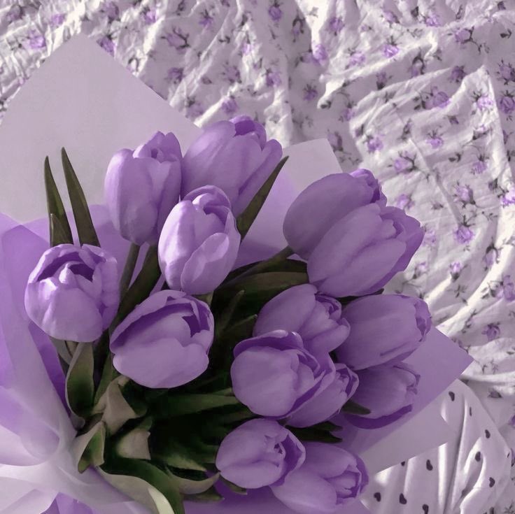 aly 🩺 tweet media
