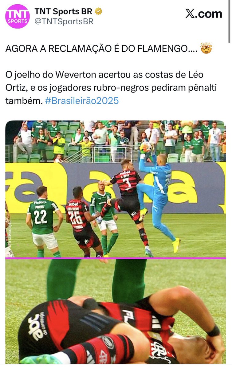 Gustavo Junior tweet media
