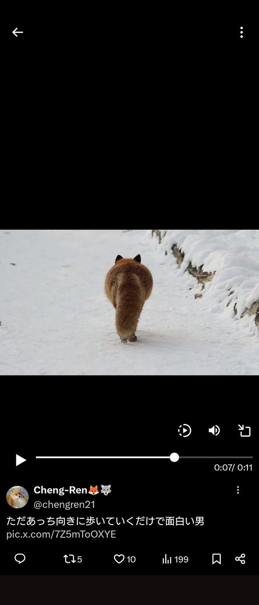 Post by Cheng-Ren🦊🐺 on X: ここすき