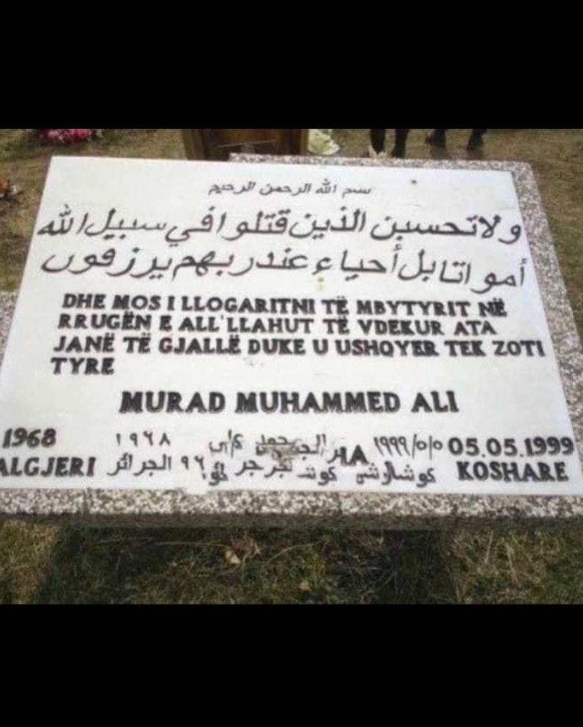 @DzLegacy🇩🇿 tweet media