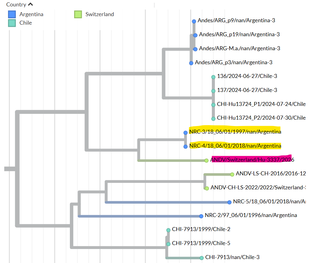 quay_dr's tweet photo. The 2026 hantavirus does not show major evolutionary jumps from previous Argentina infections and should act accordingly.

Some really nice work here by Emma Hodcroft, Univ Basal.

Unlike SARS-CoV-2, which is one 30,000 letter genome, Hantavirus has 3 separate segments of genetic material.

Why is that important?

For SARS2, the only way to get big junks of genetic material exchanged in a single step is to have 2 viruses in the same cell and then have the copying system make a cross over mistake.

With Hantavirus, if 2 different viruses infect the same cell it is very easy to package the 3 strands in all 8 combinations: AAA, AAB, ABA, BAA, ABB, BAB, BBA, BBB. (where A is one virus and B is the other virus)

Here Emma has looked at each of the 3 segments for the cruise ship virus and showed that each of the 3 segments is most closely similar to past viruses from Argentina and not past viruses from Chile.

Consequence of this information?

The current virus should act like recent Argentina hantaviruses and not represent a new, uncharted, combination of the 3 genome segments.

https://t.co/Uu730124hO