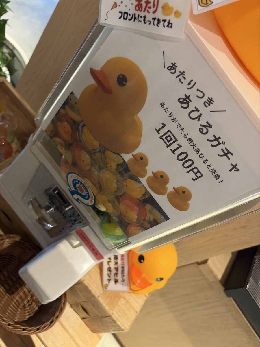 タイッキ tweet media