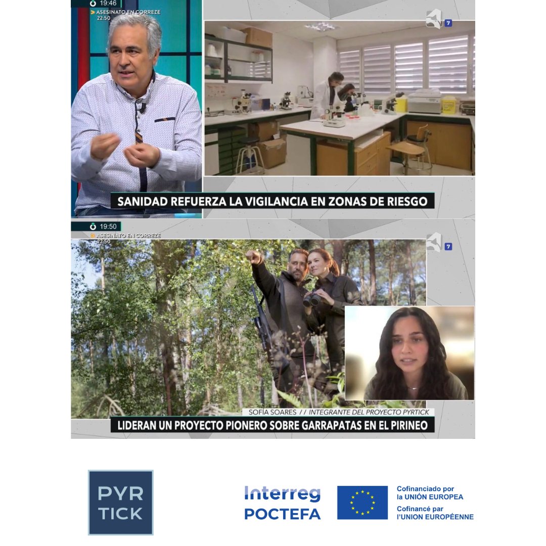 pyrtick's tweet photo. 📺(ES) PyrTick participó en Conexión Aragón de Aragón TV para hablar sobre garrapatas, salud pública y divulgación científica.
Acercar la investigación a la sociedad también forma parte de la ciencia 🕷️ https://t.co/FHR76elOrp