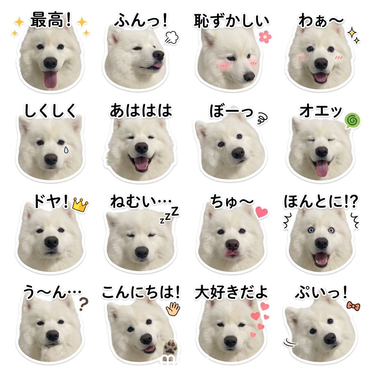 ハマ太郎の日常【サモエド】 tweet media