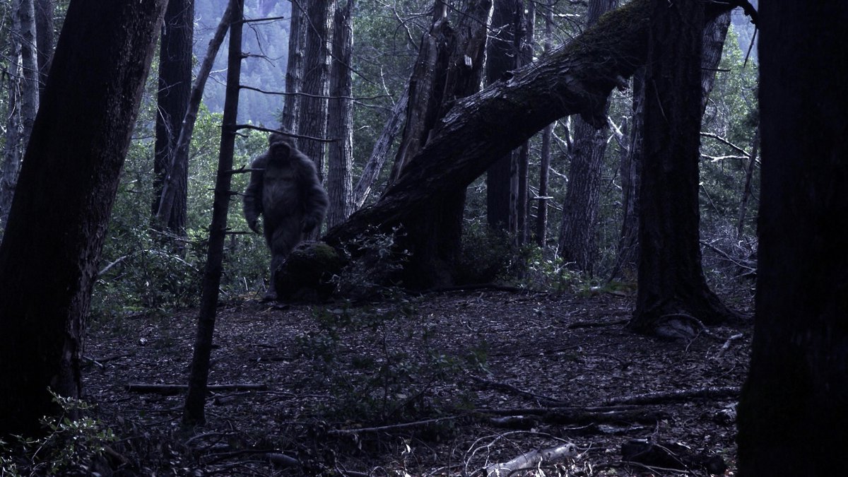 Bugs Finds Bigfoot 👣🪶 tweet media